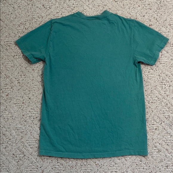 Comfort Colors Classic Green Unisex Heavyweight Short Sleeve Basic T-Shirt - Picture 6 of 8